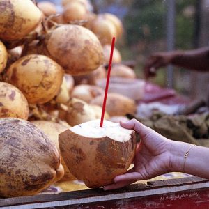 Coconuts in Mangalore