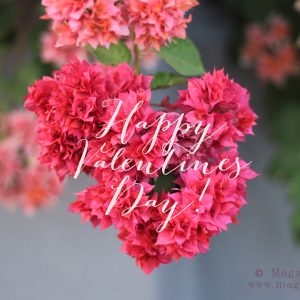 Valentine's Day Greetings