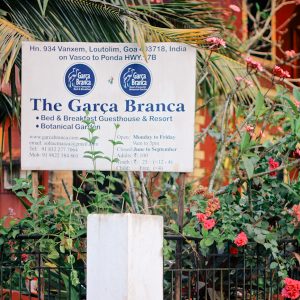 Garça Branca Goa