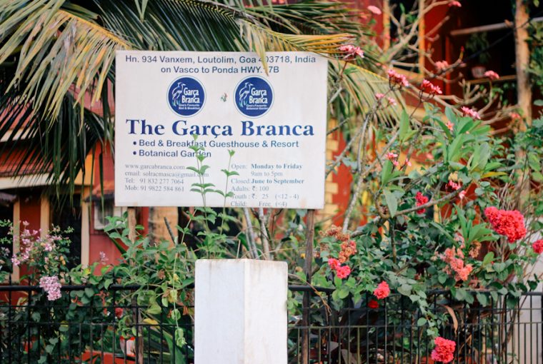 Garça Branca Goa
