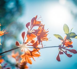 How To Stay Positive