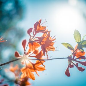 How To Stay Positive