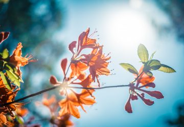 How To Stay Positive